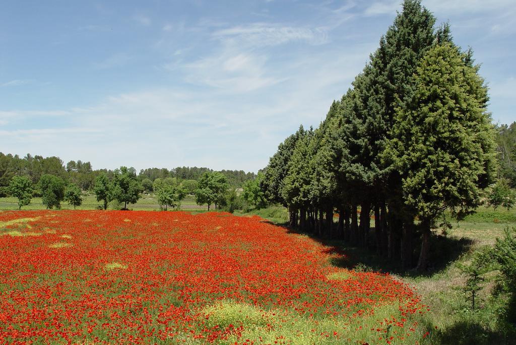 Une Campagne En Provence Bras Zewnętrze zdjęcie