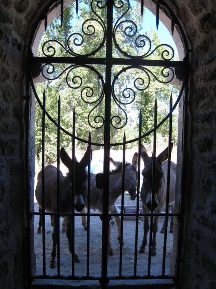 Une Campagne En Provence Bras Zewnętrze zdjęcie
